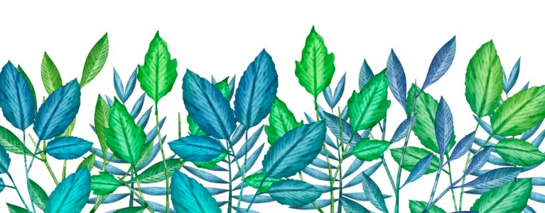 Exemple d'un dessin comportant de nombreux détails, nécessitant une simplification avant broderie