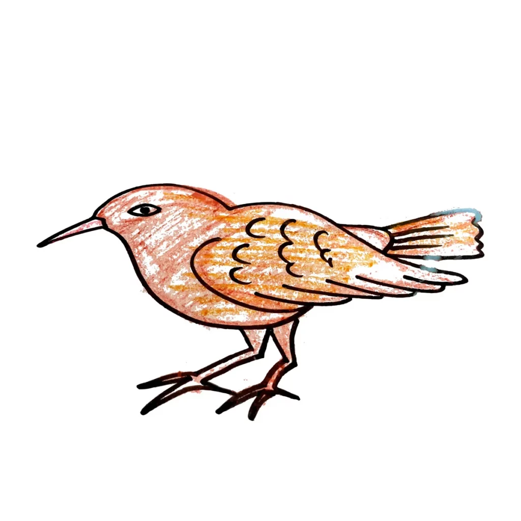 Exemple de dessin comportant des traits de crayons et des ombrages, nécessitant une simplification avant la broderie