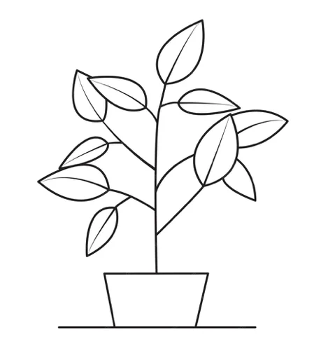 Dessin de plante en contours noirs, idéal pour être transformé en broderie