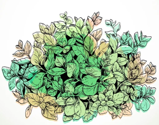 Exemple de dessin trop détaillé pour être reproduit fidèlement en broderie